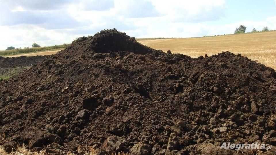 Torf do ogrodu pod iglaki trawnik borówkę piasek zasypowy ziemia