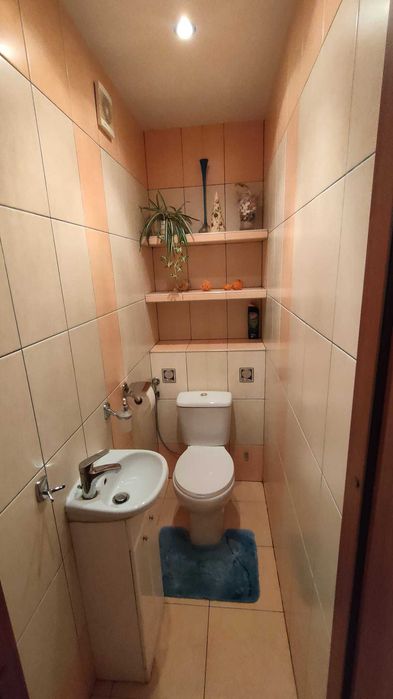 Zdjęcie 7