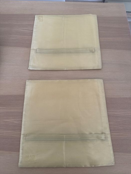 2as Almofadas de Seda Natural Indiana Novas