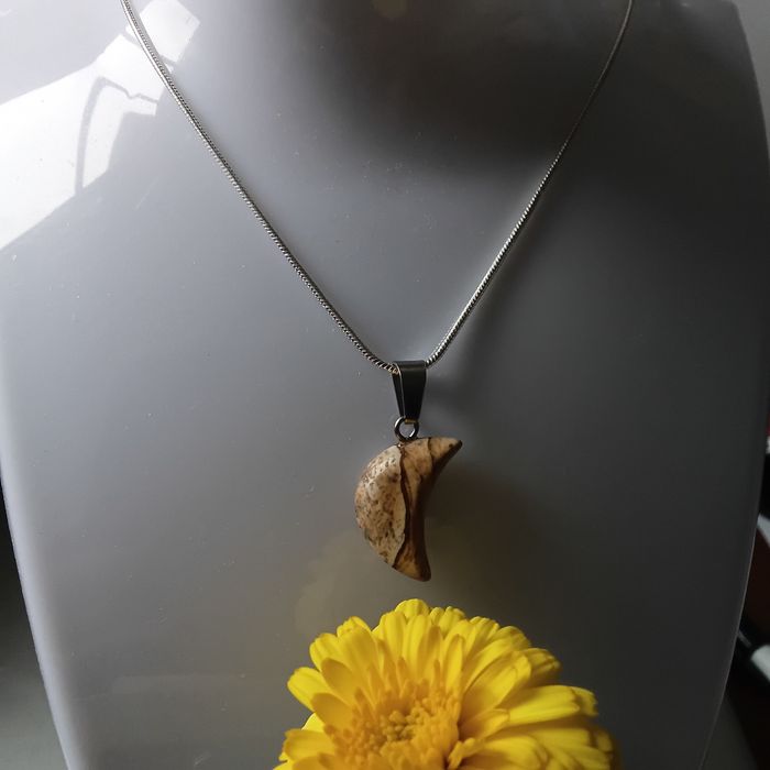 Fio de Prata com Jaspe Meia Lua