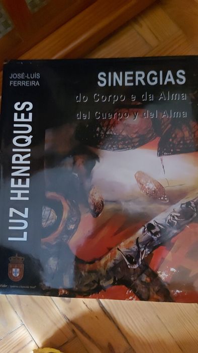 Luz Henríques Sinergias do Corpo e da Alma