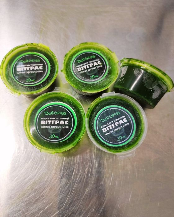 Сік з мікрозелені пшениці Вітграс живий, 70% хлорофіл, Дніпро