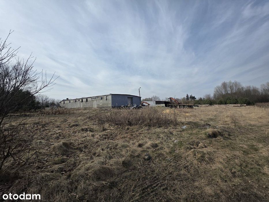 Działka przemysłowa 1,04 ha | MPZP | Dubienka