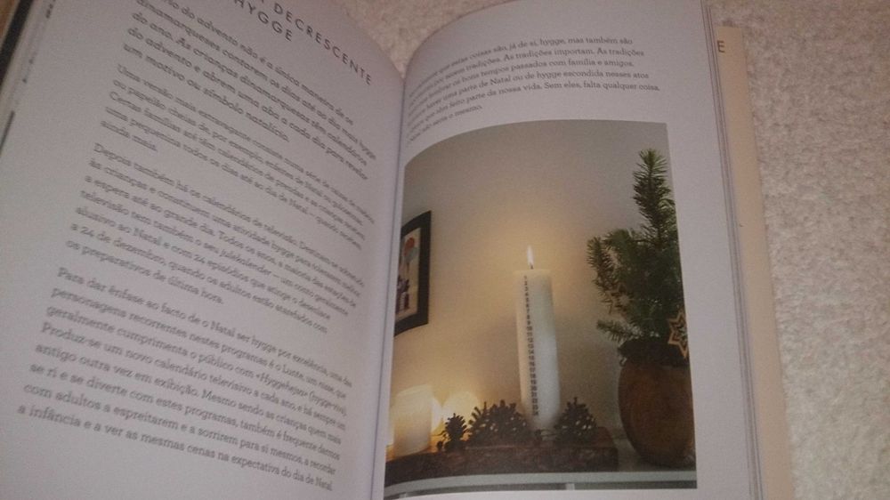 o livro do hygge - o segredo dinamarquês para ser feliz (meik wiking)