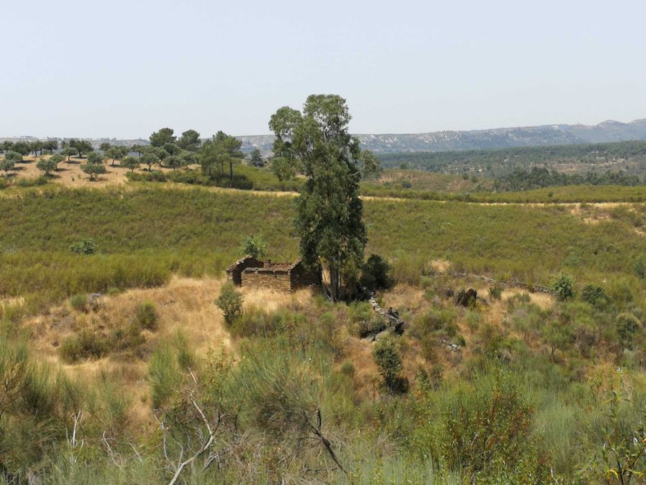 Oportunidade no Alto Alentejo - 26ha em Montalvão, perto da nova ponte