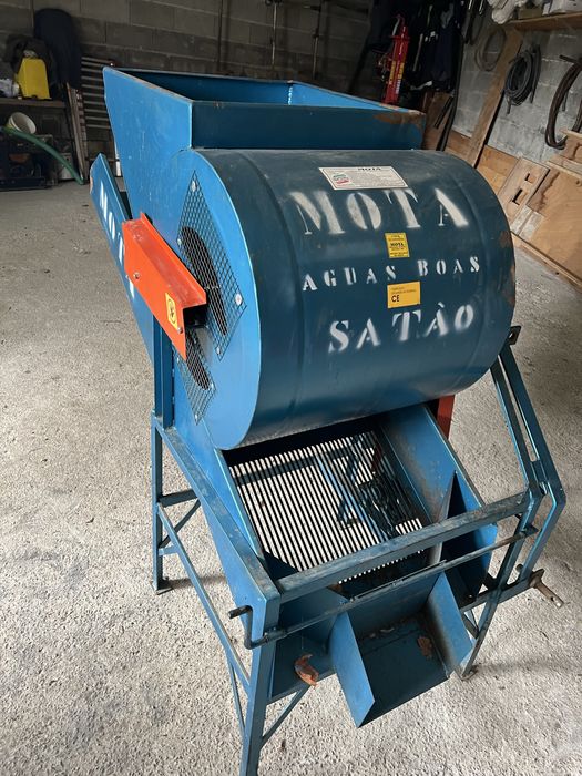 Erguedeira Azeitona MOTA