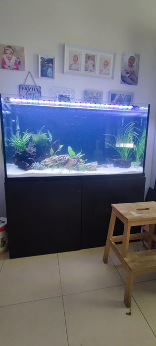 Aquário 300L  - 120x70x40