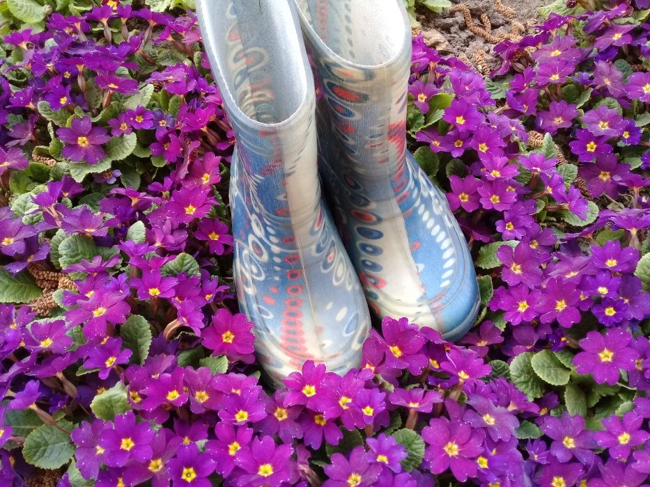 Гумові чобітки 17 см