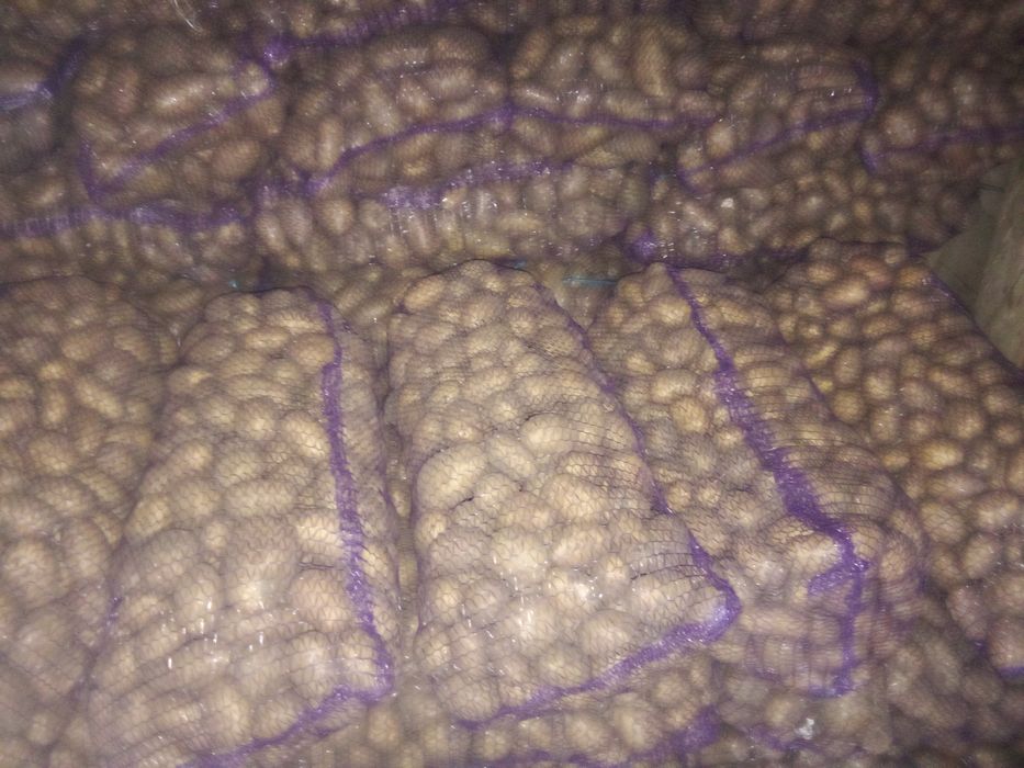 Продам картоплею