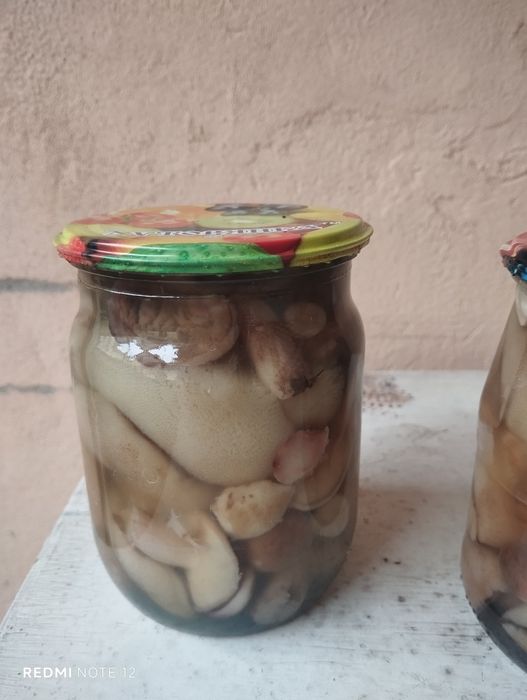 Маслята  маринованые , соленые