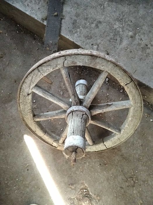 Stare koło od taczki