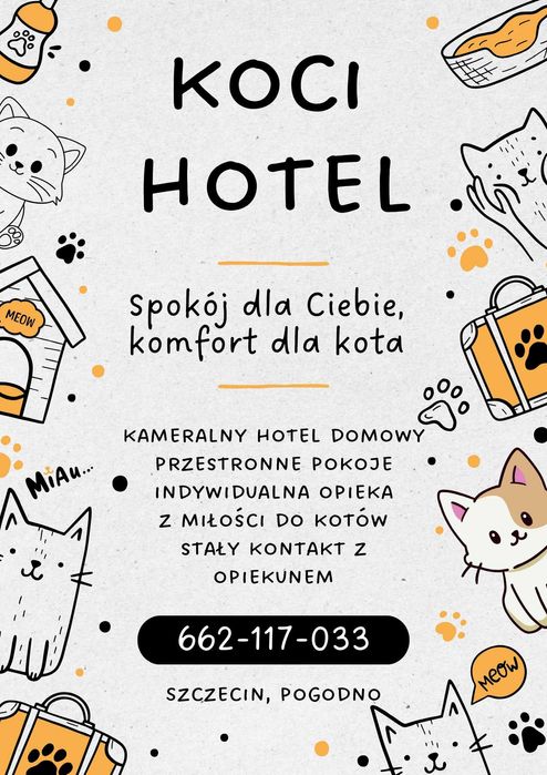 Domowy hotel dla kotów
