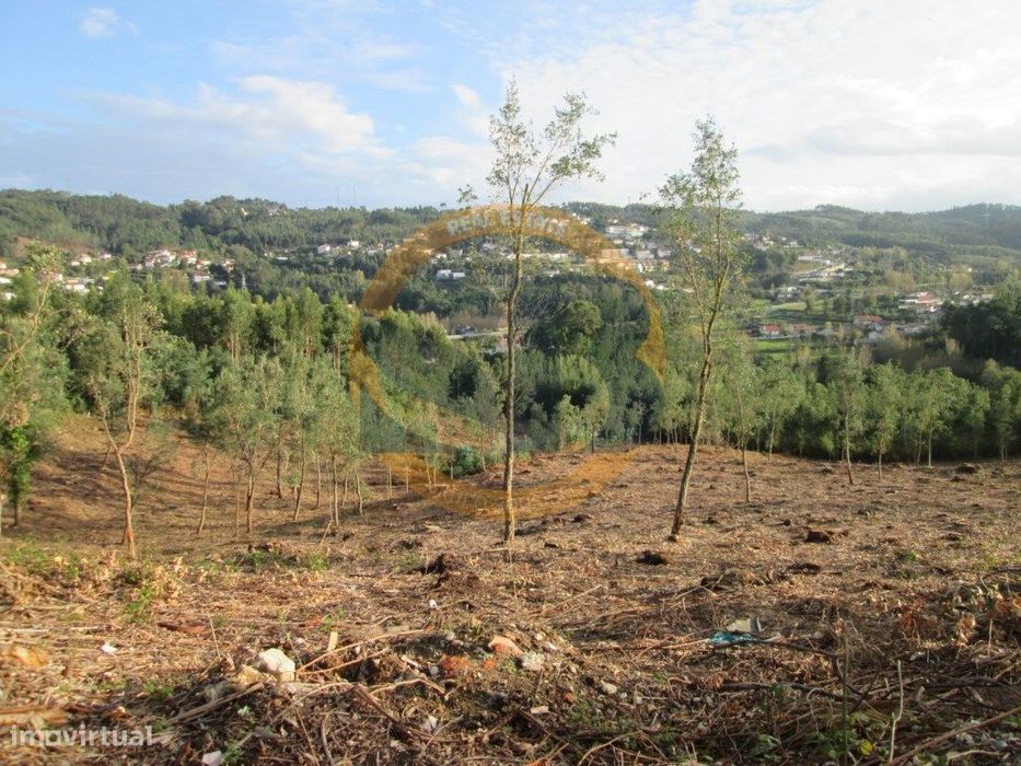 Terreno em Oliveira de Azeméis