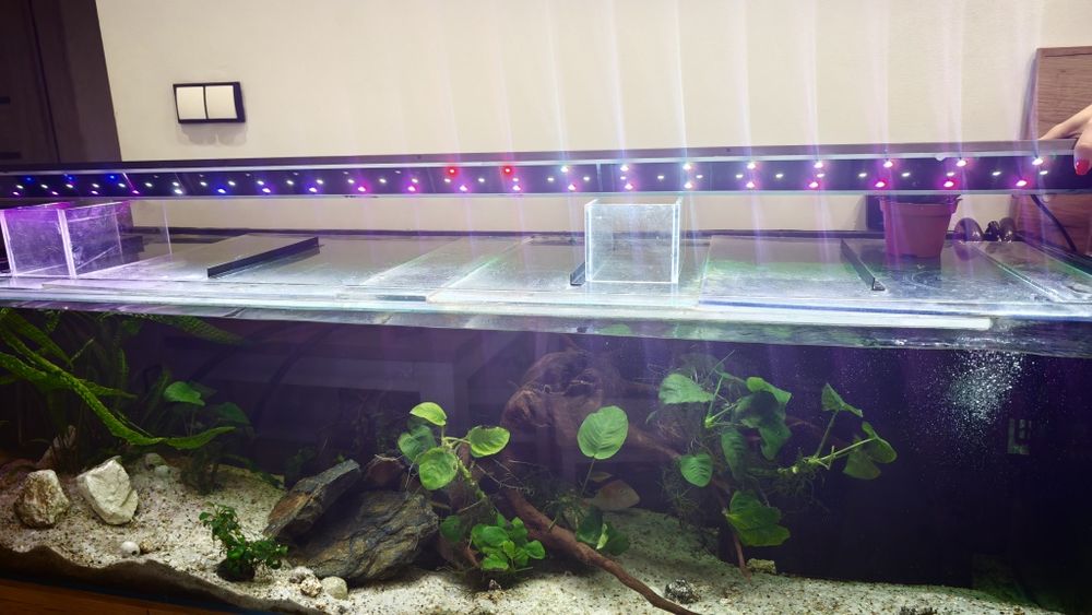 Belka Led RGB 170cm