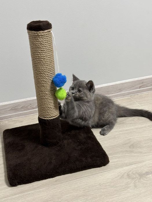 Когтеточка  дряпка для котенка