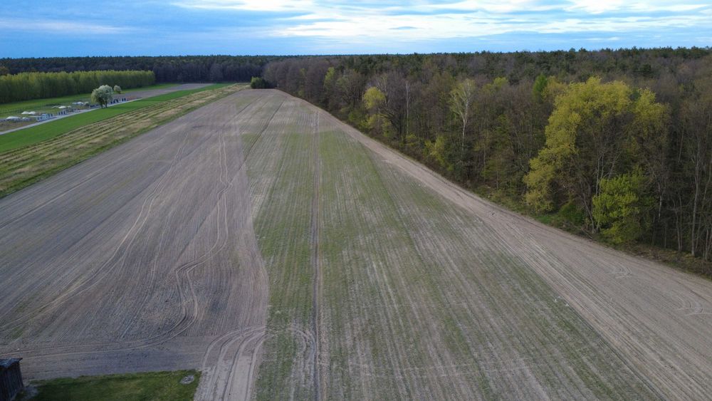 Działka 1200 mkw. z bezterminowymi WZ (Małecz, gm. Lubochnia) - bezpośrednie sąsiedztwo lasu - Widok 4