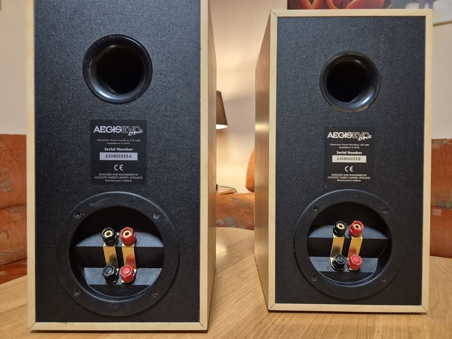 Kolumny acoustic energy aegis evo one