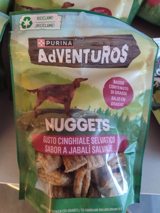 Conjunto de biscoitos para cao