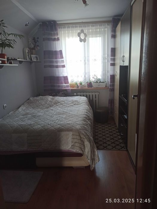 Zdjęcie 8
