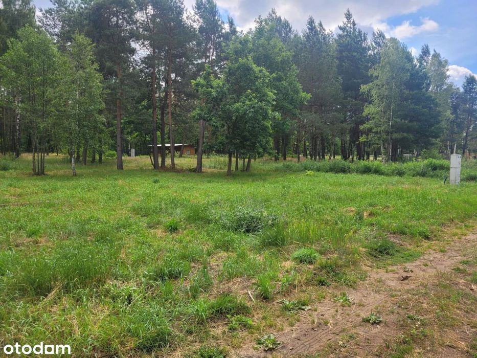 Działka rekreacyjna 578 m² z prądem - Widok 2