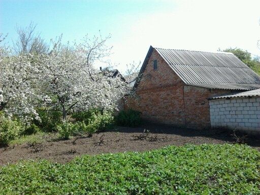 Продається господарство з невеликим будинком та землею 0.83 га. в селі