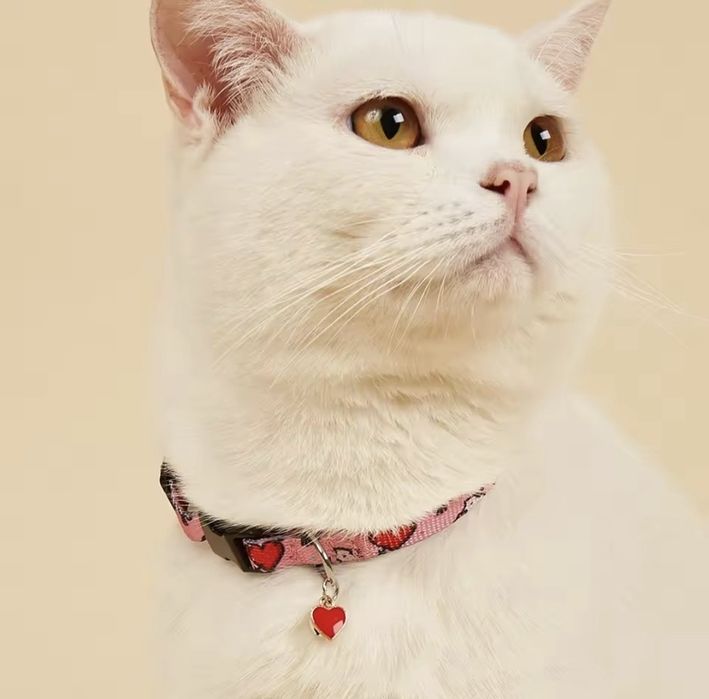 Нашийник для котів