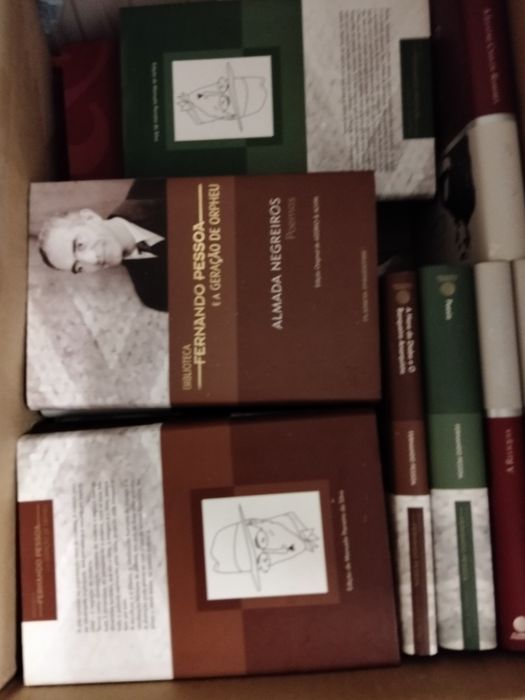 Colecção livros Fernando pessoa