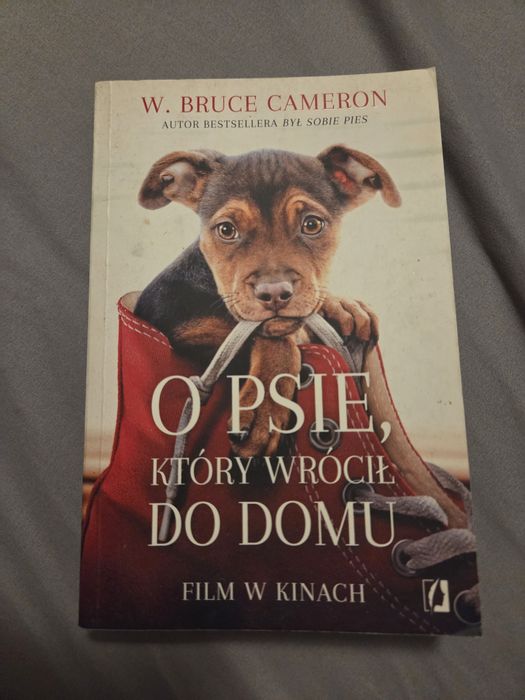 O psie który wrócił do domu