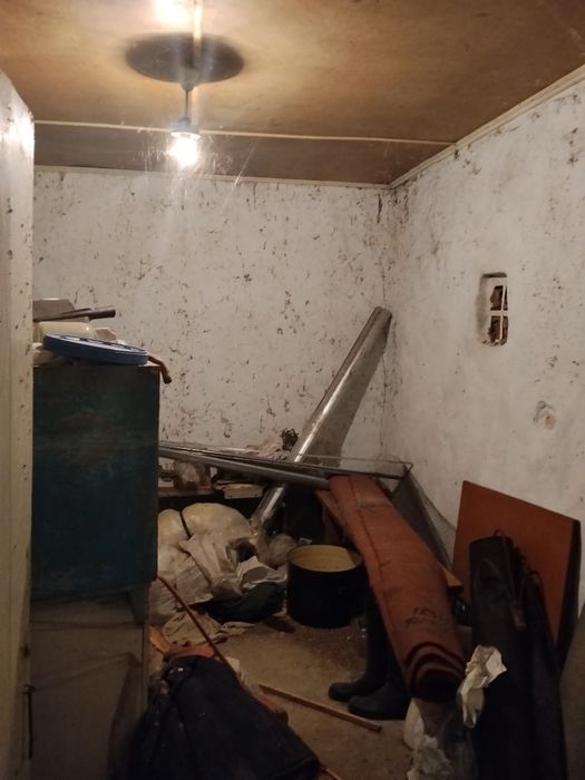 Продам будинок в селі літиня