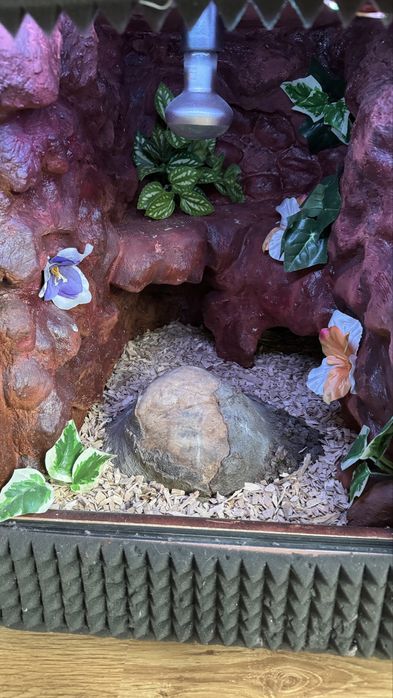 Terrarium 2w1 ręcznie wykonane