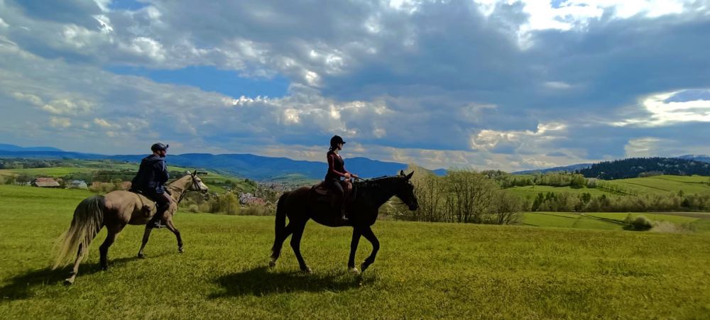 Duża Klacz śląska