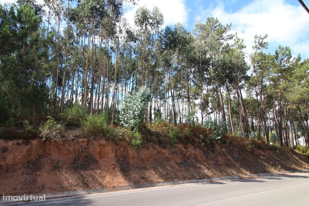 Terreno para Construção - Caranguejeira, Leiria