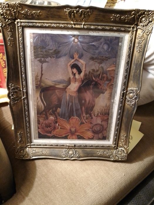 Beijo melhor do que cozinho!-Placa Chapa-30E-Cadeira bébé-30E Desde 3E