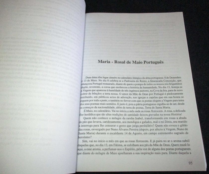 Livro Dicionário de Temas e Poemas António Manuel Couto Viana