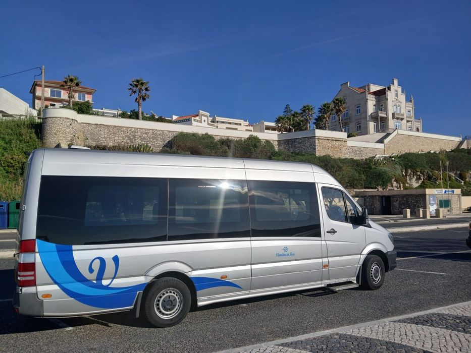 Minibus Mercedes Sprinter 316 CDI