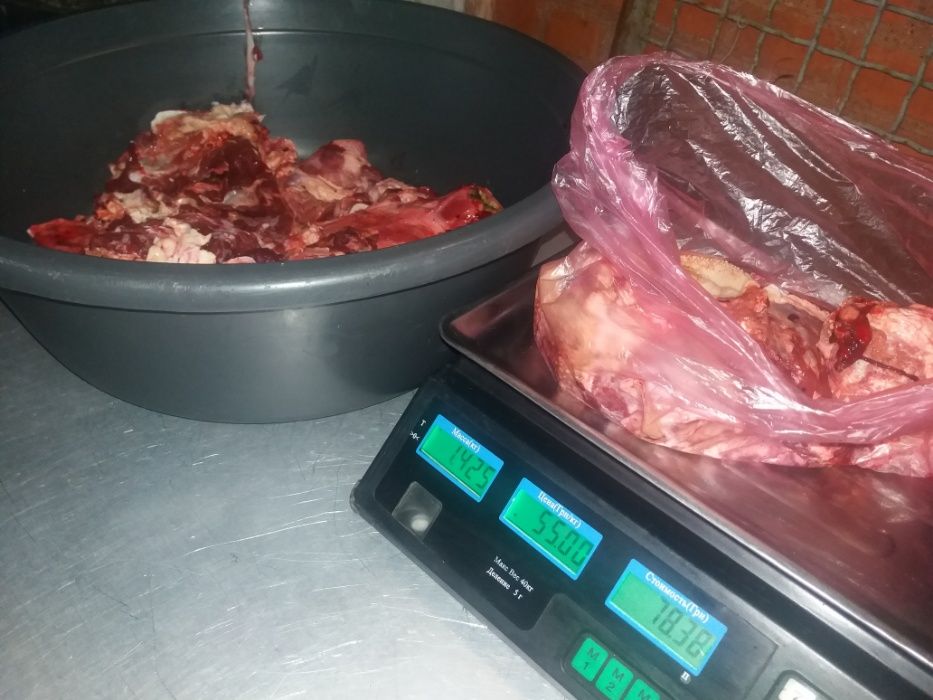 мясо телятина для собак