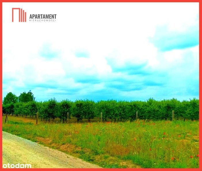 Morzewiec 1067 m2 świetna Lokalizacja