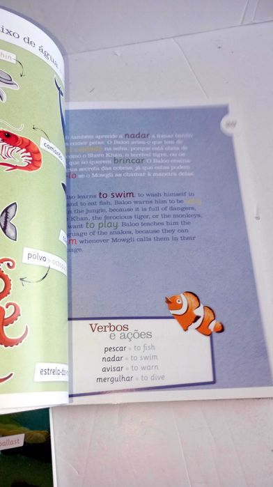 Livros da Coleção - Dicionário Visual Bilingue