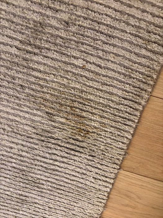 Dywan używany 160x235 oddam