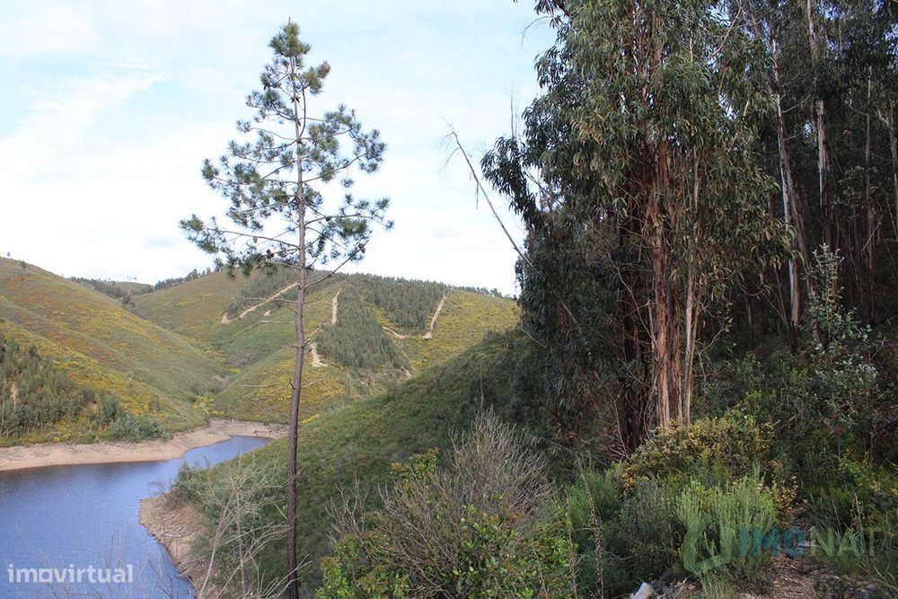 Land Plot
