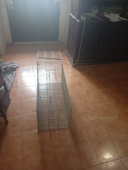 Armadilha para coelhos ou outros animais