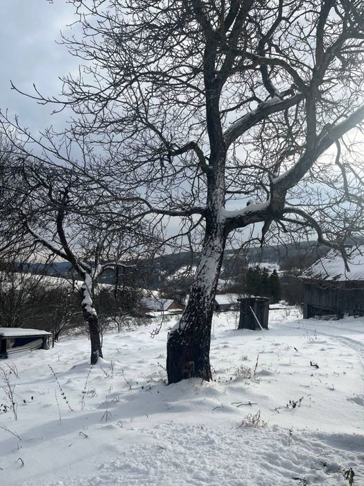 Земельна ділянка в Карпатах з будинком. Село Орів, Трускавецька ОТГ. Ціна 485$ за сотку.