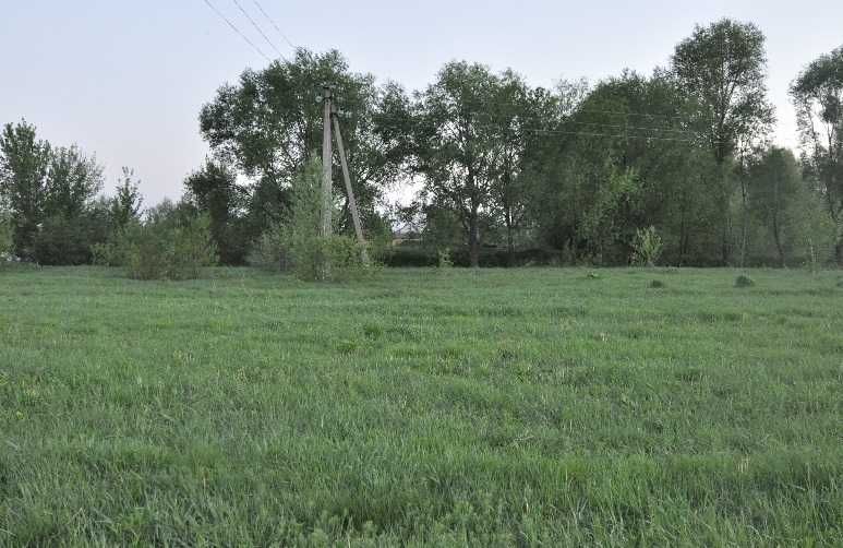 Участок под застройку Гуровщина 6 соток