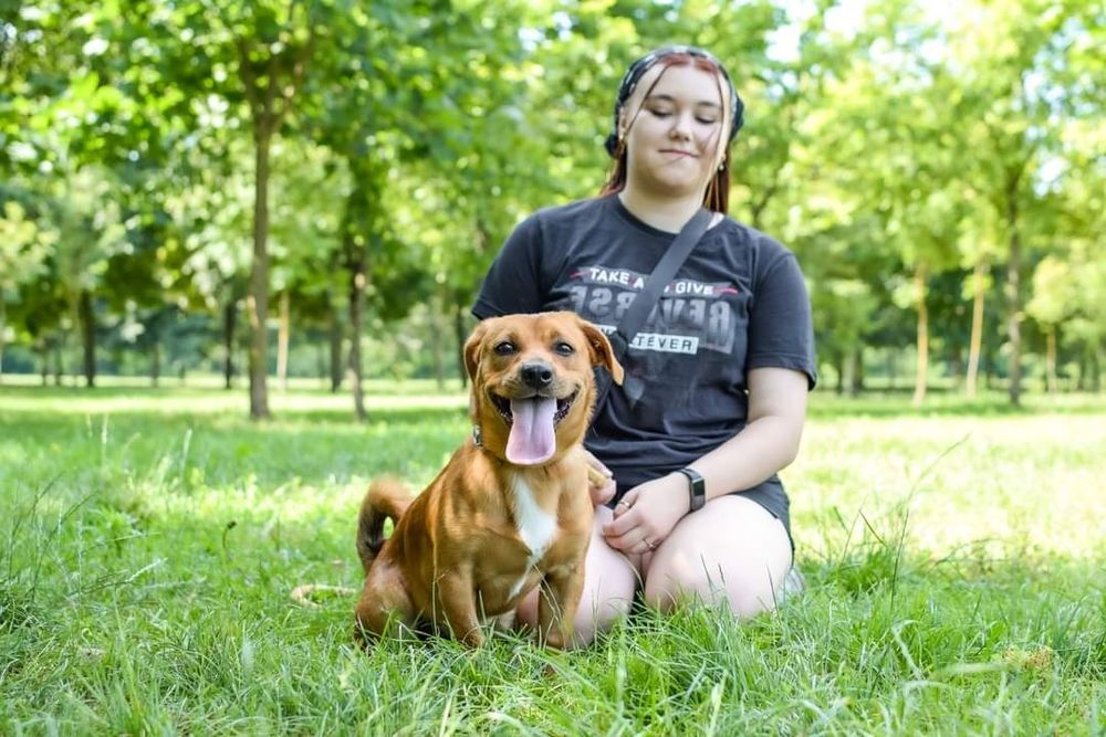 Uroczy, rudy kawaler wniesie do Domu dużo energii i radości!