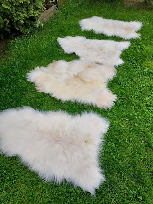 Skóry Owcze Białe Dekoracyjne 2 Klasa Skóra Owcza Dywan Dywanik