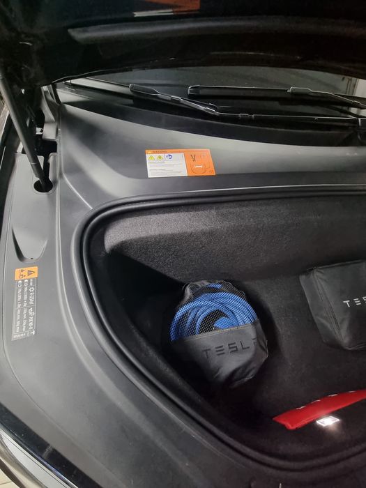 Тесла Х Tesla X 100 з Нідерландів Intel