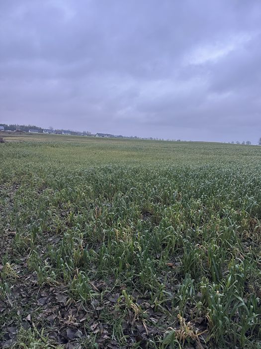 Sprzedam dziełke budowlaną - Widok 2