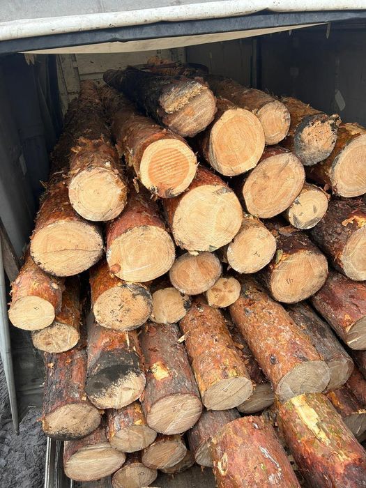 Пиломатериали Кругляк