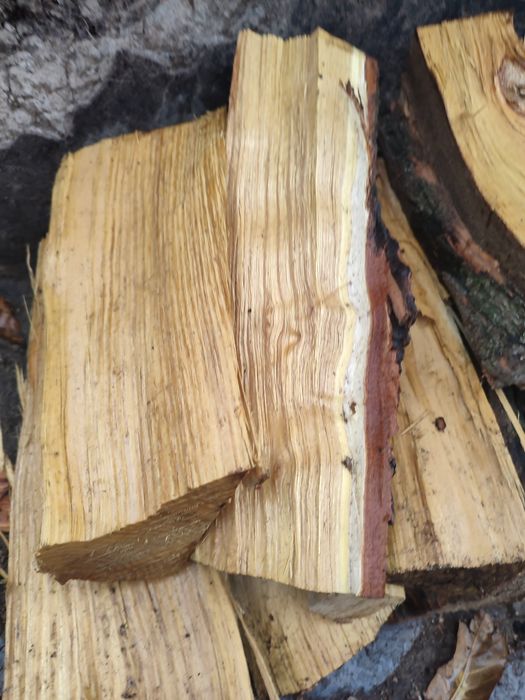 Продам дрова отличного качества от 1000гр