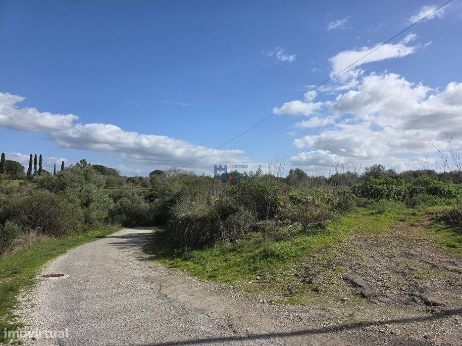 Terreno em Zibreira, Torres Novas — Zibreira, Santarém
